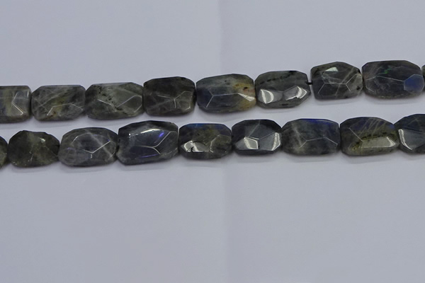 CNG7487 15.5 inches 18*25mm - 20*30mm faceted freeform labradorite beads