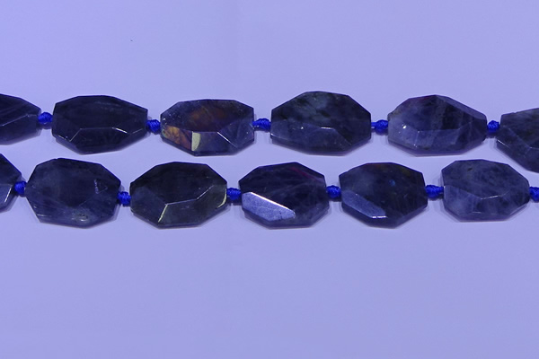 CNG7517 15.5 inches 25*35mm - 30*40mm faceted freeform labradorite beads