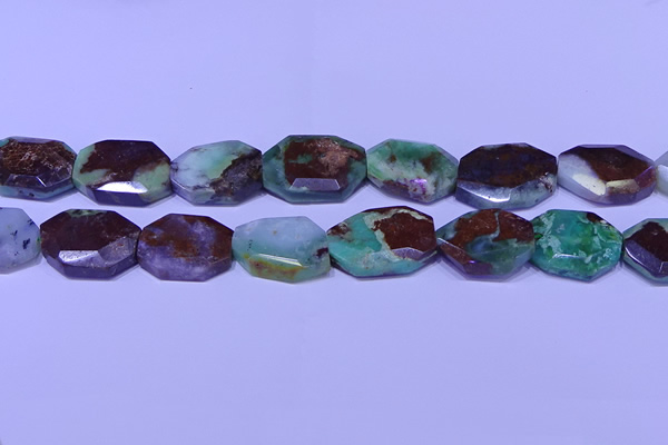 CNG7518 25*35mm - 30*40mm faceted freeform australia chrysoprase beads
