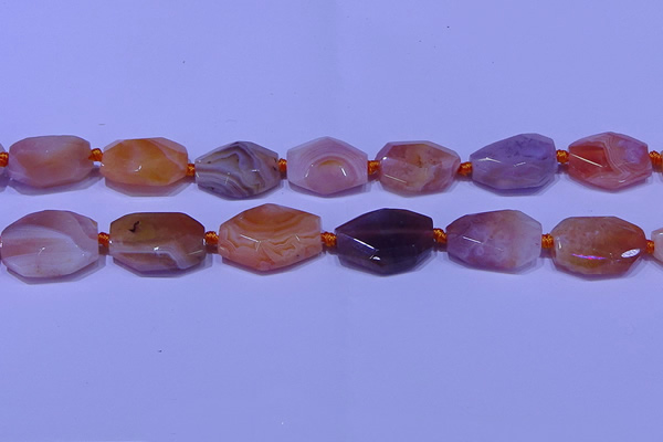 CNG7528 18*25mm - 25*35mm faceted freeform red Botswana agate beads