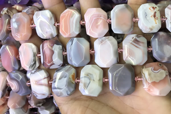 CNG7561 18*25mm - 20*28mm faceted freeform red Botswana agate beads