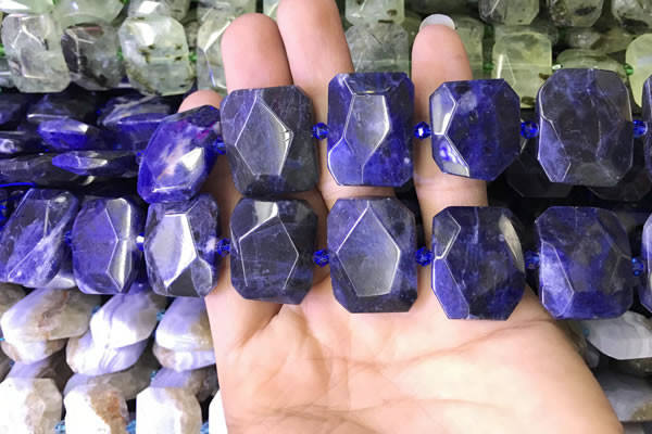 CNG7562 15.5 inches 18*25mm - 20*28mm faceted freeform sodalite beads