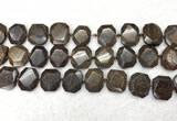 CNG7568 15.5 inches 18*25mm - 20*28mm faceted freeform bronzite beads