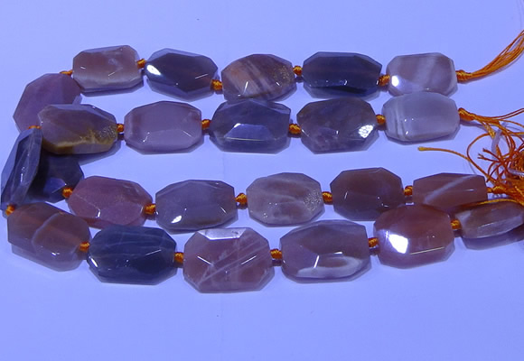 CNG7624 20*30mm - 22*32mm faceted freeform sunstone beads