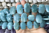 CNG7770 13*18mm - 15*25mm faceted freeform amazonite beads