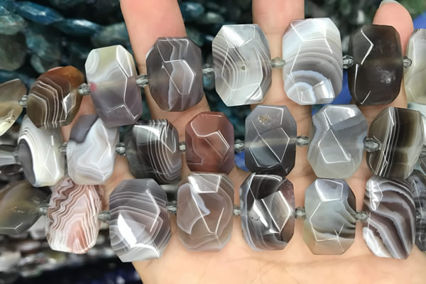 CNG7773 13*18mm - 15*25mm faceted freeform Botswana agate beads