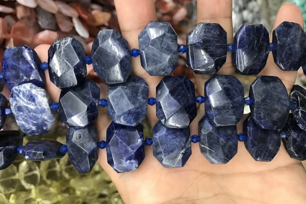 CNG7788 15.5 inches 13*18mm - 15*25mm faceted freeform sodalite beads
