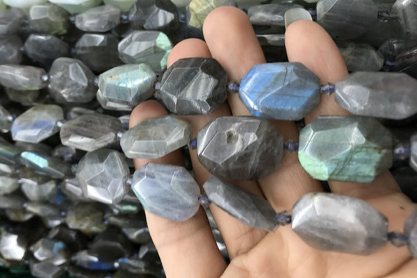 CNG7820 15.5 inches 13*18mm - 18*25mm faceted freeform labradorite beads