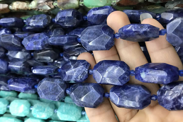 CNG7822 15.5 inches 13*18mm - 18*25mm faceted freeform sodalite beads