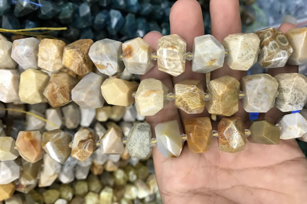 CNG7844 12*16mm - 15*20mm faceted nuggets fossil coral beads