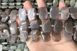 CNG7886 13*18mm - 15*25mm faceted freeform moonstone beads