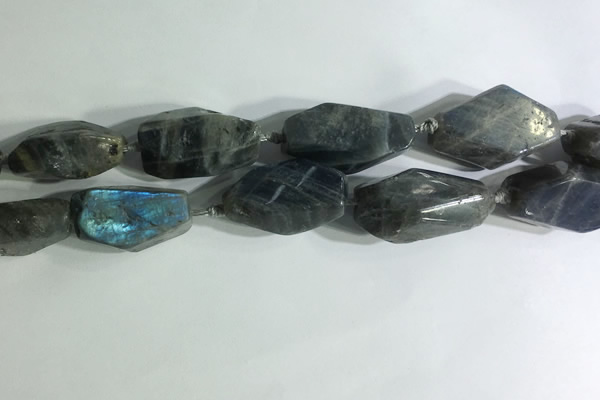 CNG7964 15.5 inches 15*25mm - 20*40mm nuggets labradorite beads