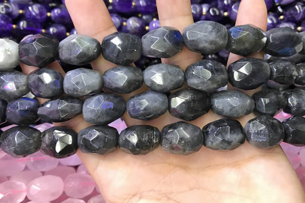 CNG8572 12*16mm - 15*20mm faceted nuggets labradorite beads