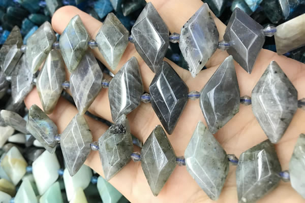 CNG8646 13*20mm - 15*25mm faceted freeform labradorite beads