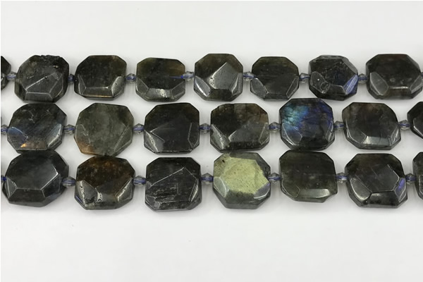 CNG8824 15.5 inches 16mm - 20mm faceted freeform labradorite beads
