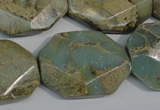 CNS263 15.5 inches 22*30mm octagonal natural serpentine jasper beads