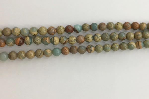 CNS701 15.5 inches 6mm round serpentine jasper beads wholesale