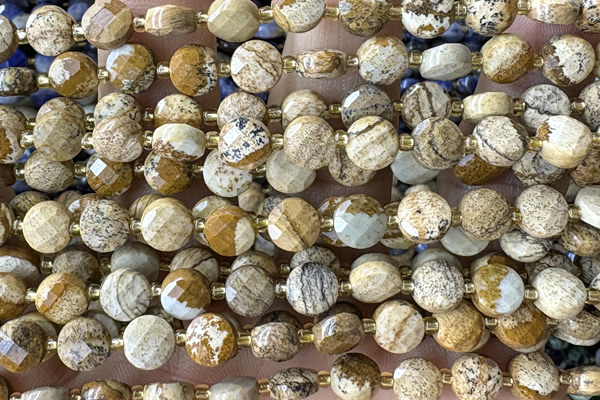 COIN146 15 inches 6mm faceted coin picture jasper beads