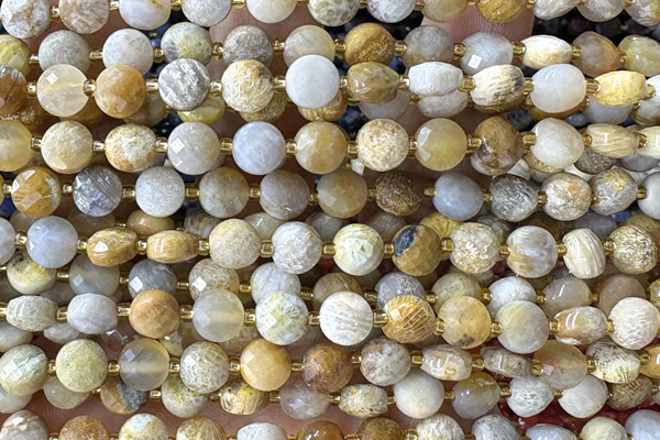 COIN148 15 inches 6mm faceted coin chrysanthemum agate beads