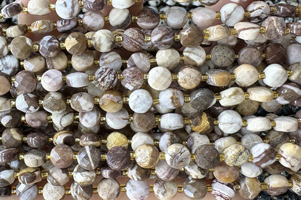 COIN150 15 inches 6mm faceted coin zebra jasper beads