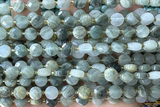 COIN156 15 inches 6mm faceted coin seaweed quartz beads