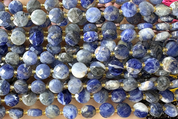 COIN168 15 inches 6mm faceted coin sodalite gemstone beads