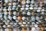 COIN174 15 inches 6mm faceted coin eagle eye jasper beads