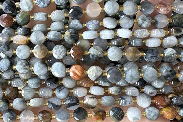 COIN174 15 inches 6mm faceted coin eagle eye jasper beads