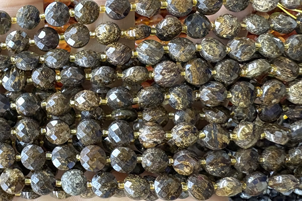 COIN208 15 inches 6mm faceted coin bronzite gemstone beads
