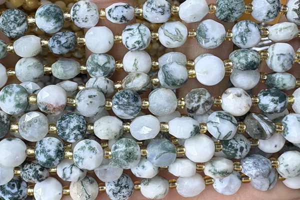 COIN230 15 inches 8mm faceted coin jasper gemstone beads