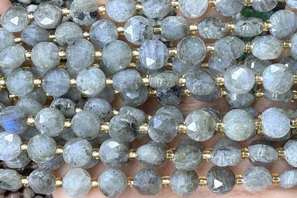 COIN232 15 inches 8mm faceted coin labradorite gemstone beads