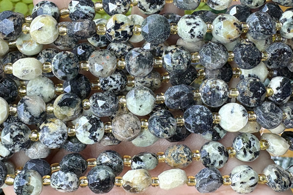 COIN246 15 inches 8mm faceted coin jasper gemstone beads