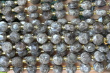 COIN257 15 inches 8mm faceted coin jasper gemstone beads