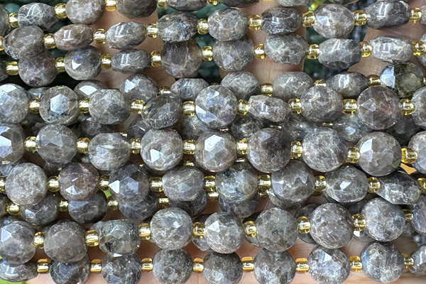 COIN257 15 inches 8mm faceted coin jasper gemstone beads