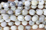 COIN273 15 inches 10mm faceted coin white opal beads