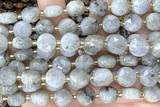 COIN275 15 inches 10mm faceted coin labradorite gemstone beads