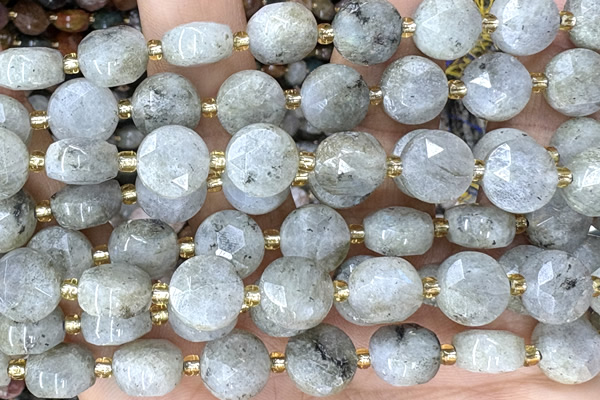 COIN275 15 inches 10mm faceted coin labradorite gemstone beads