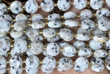 COIN276 15 inches 10mm faceted coin sesame jasper beads
