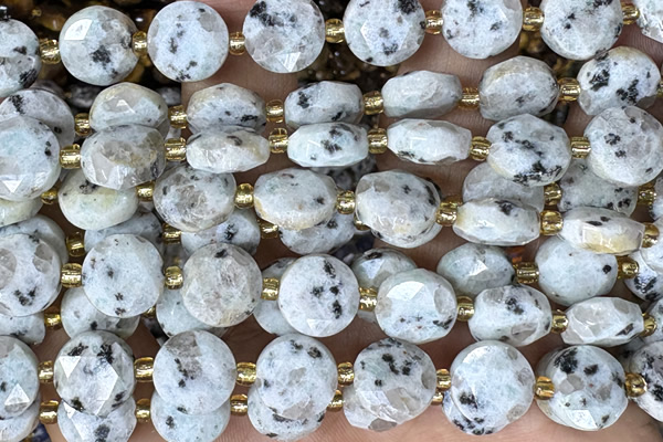 COIN276 15 inches 10mm faceted coin sesame jasper beads