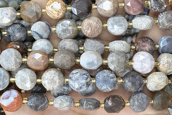 COIN277 15 inches 10mm faceted coin chrysanthemum agate beads
