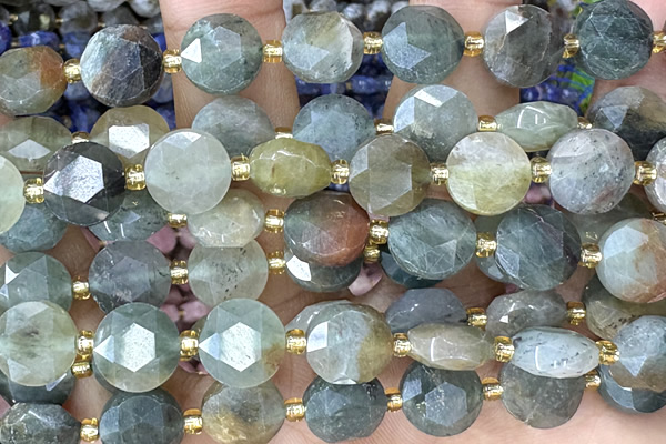 COIN284 15 inches 10mm faceted coin jasper gemstone beads
