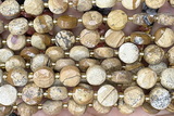 COIN286 15 inches 10mm faceted coin picture jasper beads