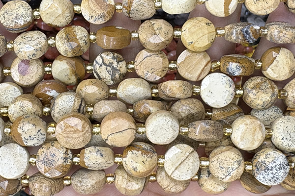 COIN286 15 inches 10mm faceted coin picture jasper beads