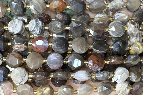 COIN306 15 inches 10mm faceted coin American picture jasper beads