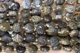 COIN309 15 inches 10mm faceted coin bronzite gemstone beads