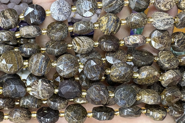 COIN309 15 inches 10mm faceted coin bronzite gemstone beads