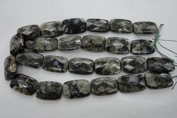 COP491 15.5 inches 20*30mm faceted rectangle natural grey opal beads