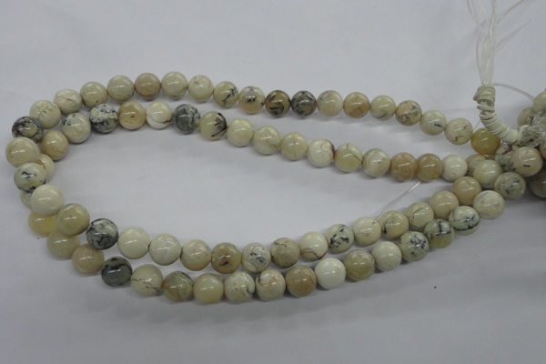COP803 15.5 inches 10mm round natural African opal beads