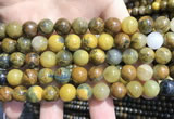 CPB1053 15.5 inches 10mm round golden pietersite beads wholesale