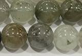CPC681 15.5 inches 8mm round chorite green phantom beads